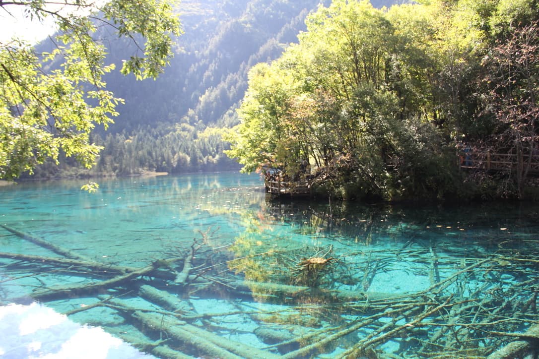 Nature