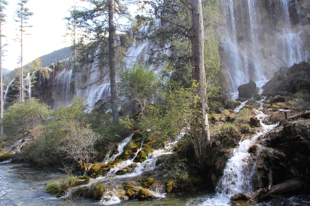 Naturaleza